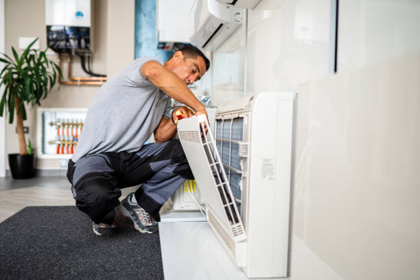 Best Ductwork Cleaning Services  in Wyoming, DE